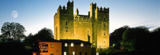 Hotels near Bunratty Castle & Park, Family Friendly Hotel, Treacys Hotel Shannon, Shannon Airport